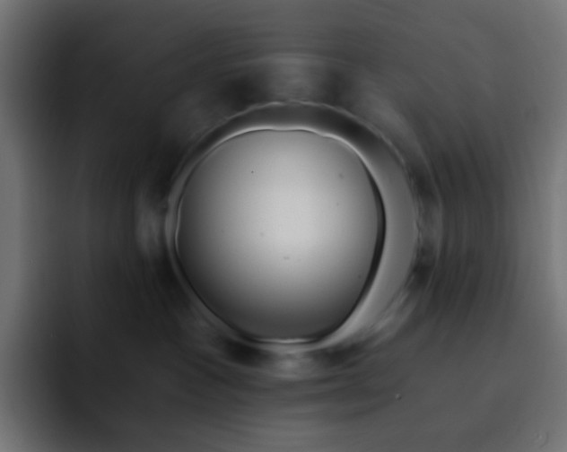 X0000093140333200710031414
