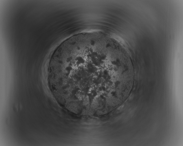X0000093140337200710031414