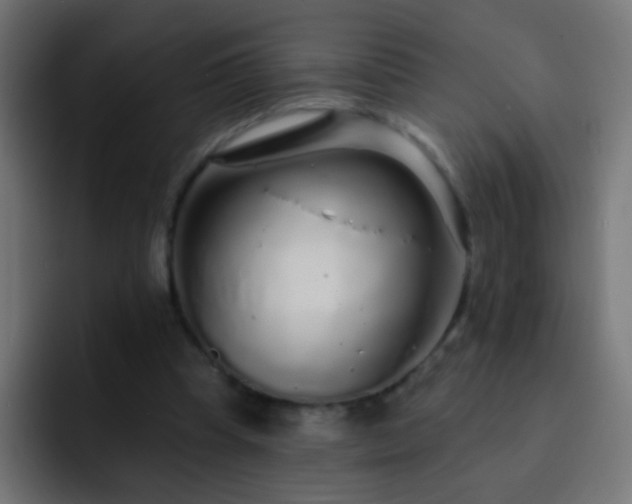 X0000093140345200710031414
