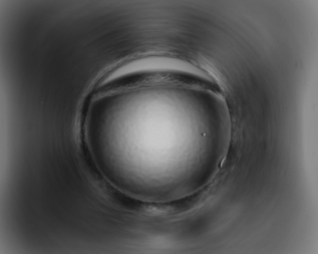 X0000093140346200710031414