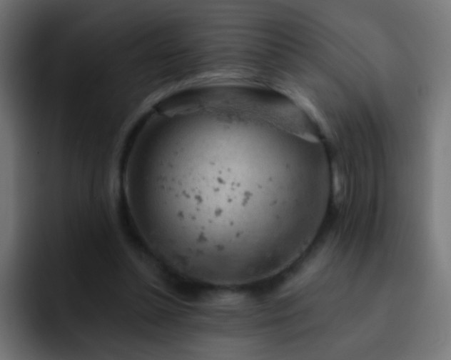 X0000093140348200710031414