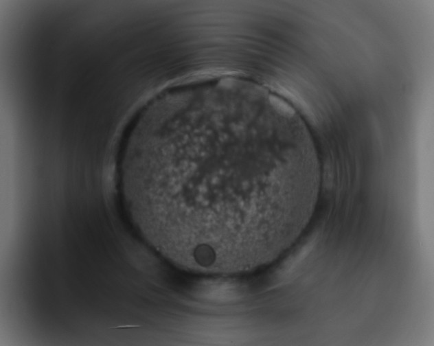 X0000093140351200710031414