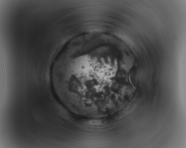 X0000093140353200710031414