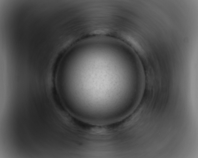 X0000093140354200710031414