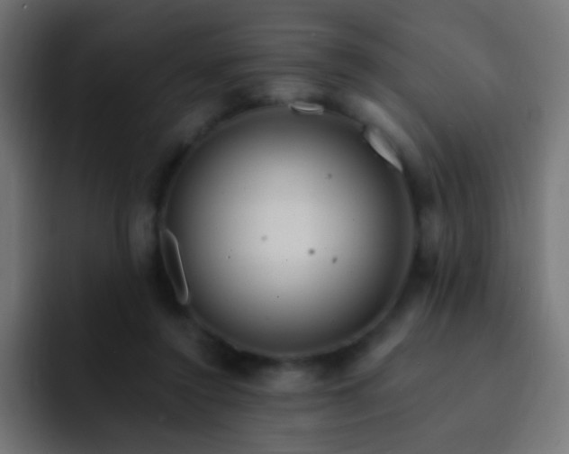 X0000093140356200710031414