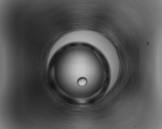 X0000093140360200710031414