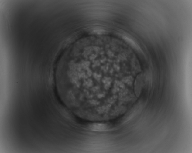 X0000093140361200710031414