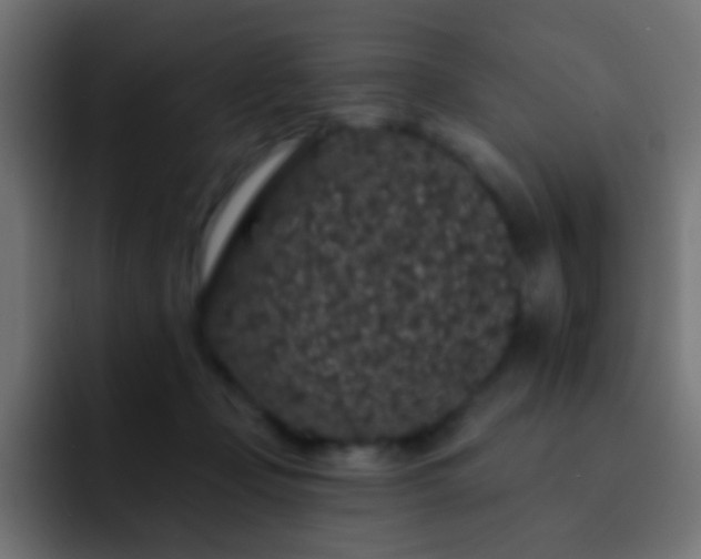 X0000093140365200710031414