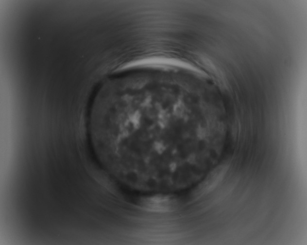 X0000093140366200710031414