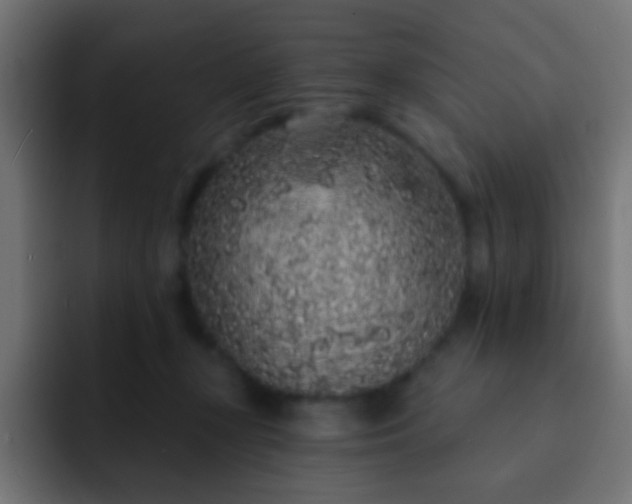 X0000093140367200710031414