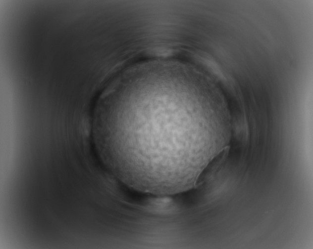 X0000093140374200710031414