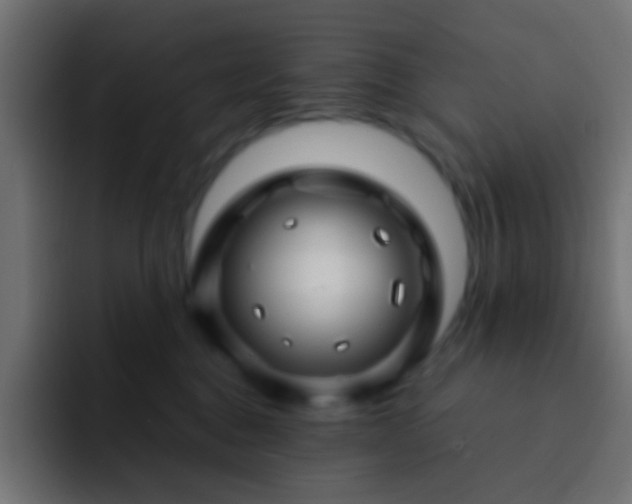 X0000093140376200710031414