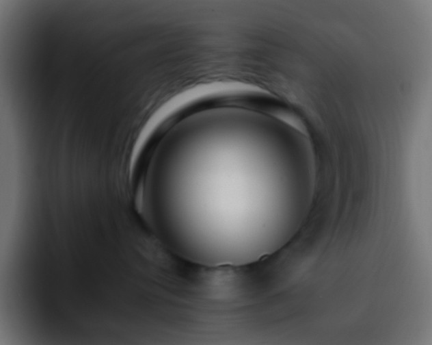 X0000093140384200710031414