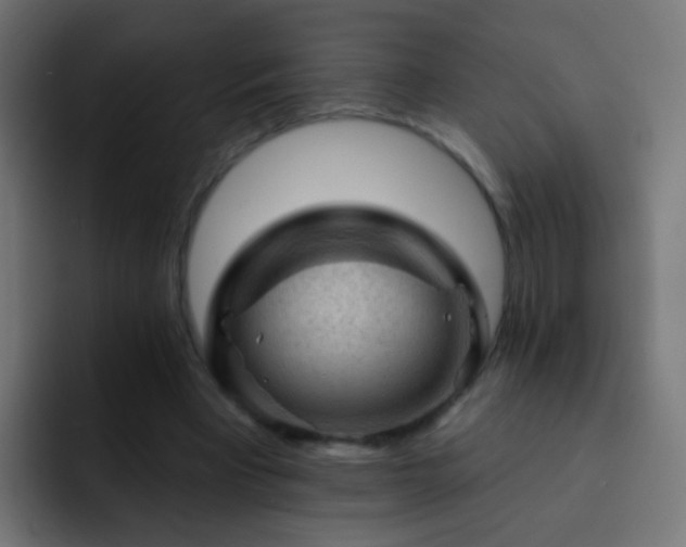 X0000093140393200710031413