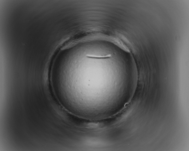 X0000093140394200710031413