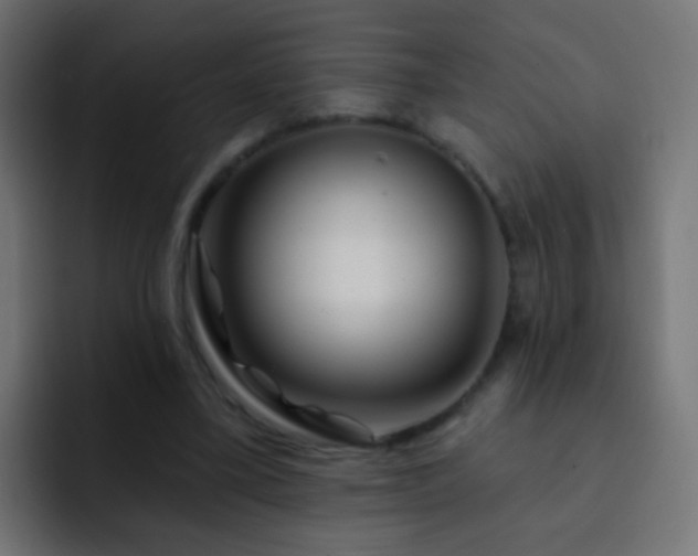 X0000093140395200710031413