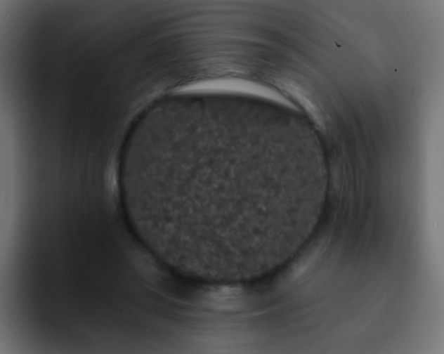 X0000093140398200710031413