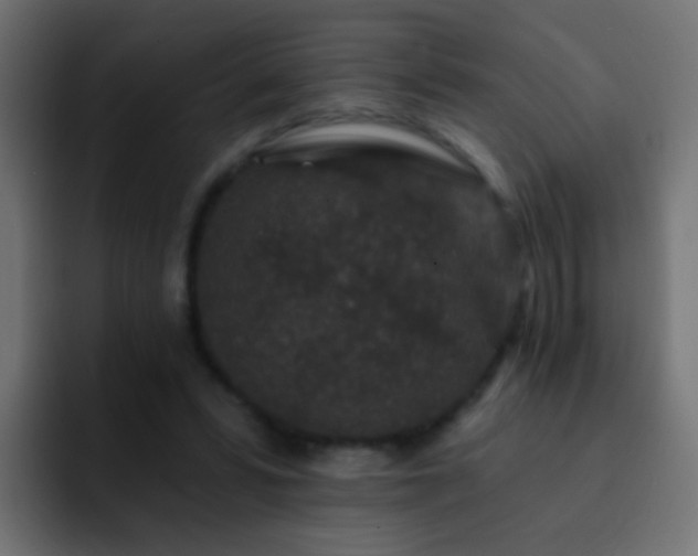 X0000093140399200710031413