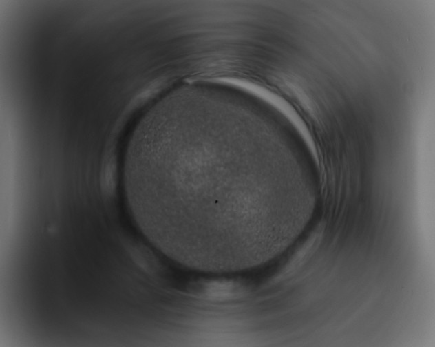 X0000093140400200710031413