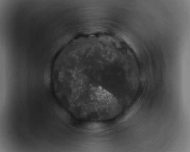 X0000093140402200710031413
