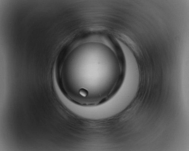 X0000093140405200710031413