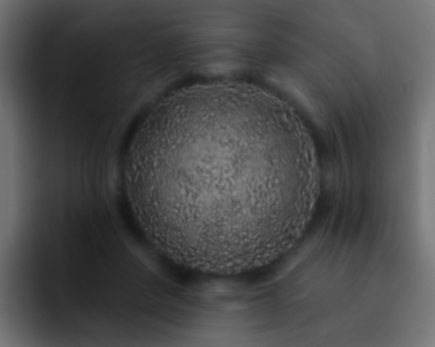 X0000093140408200710031413