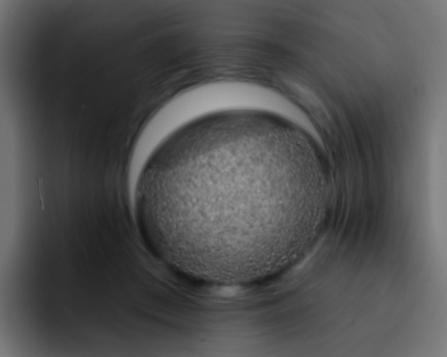 X0000093140409200710031413