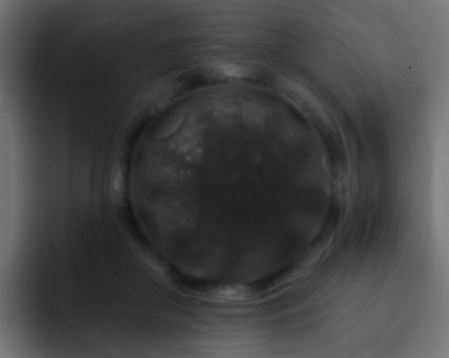 X0000093140410200710031413