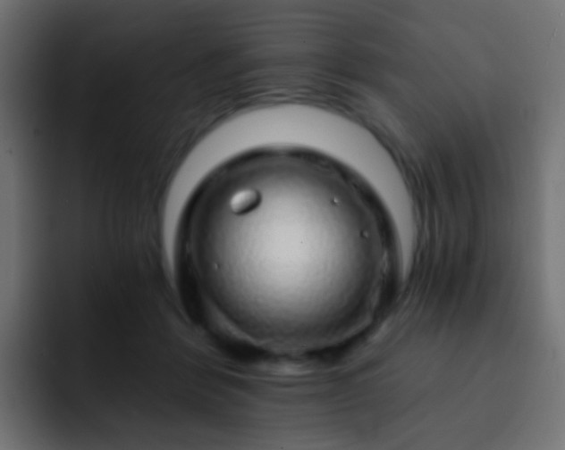 X0000093140412200710031413