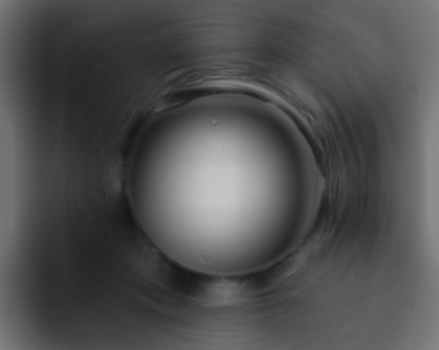 X0000093140413200710031413