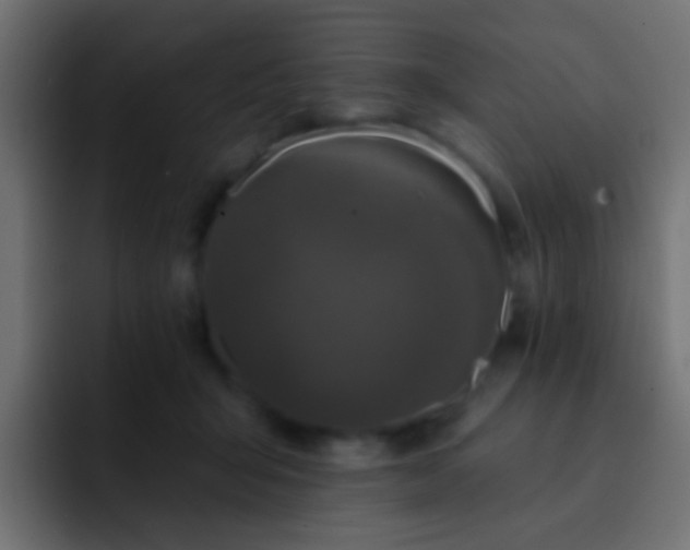 X0000093140415200710031413