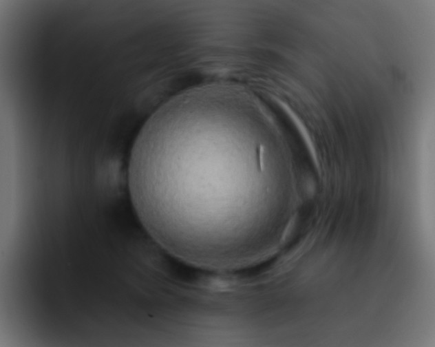 X0000093140420200710031413