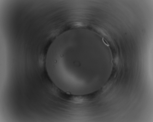 X0000093140423200710031413