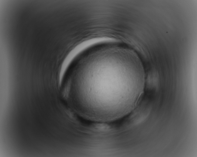 X0000093140424200710031413