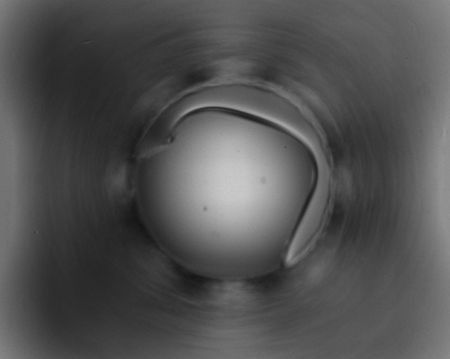 X0000093140428200710031413