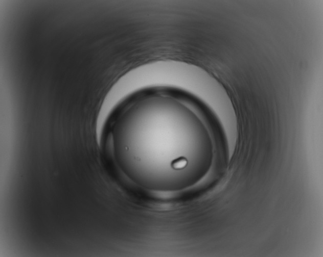 X0000093140432200710031413