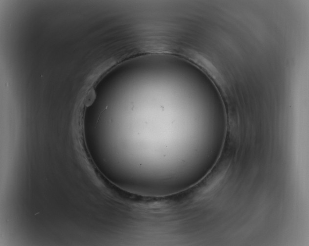 X0000093140433200710031412