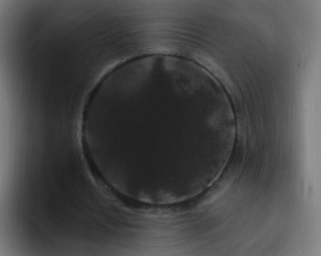 X0000093140434200710031412