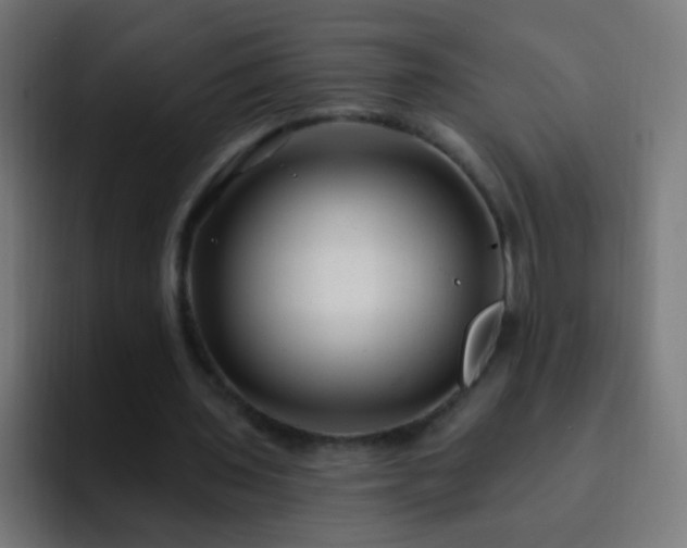 X0000093140435200710031413