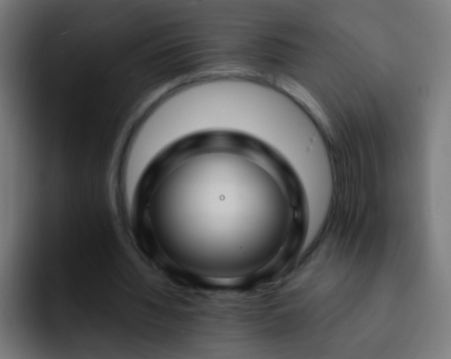 X0000093140436200710031413