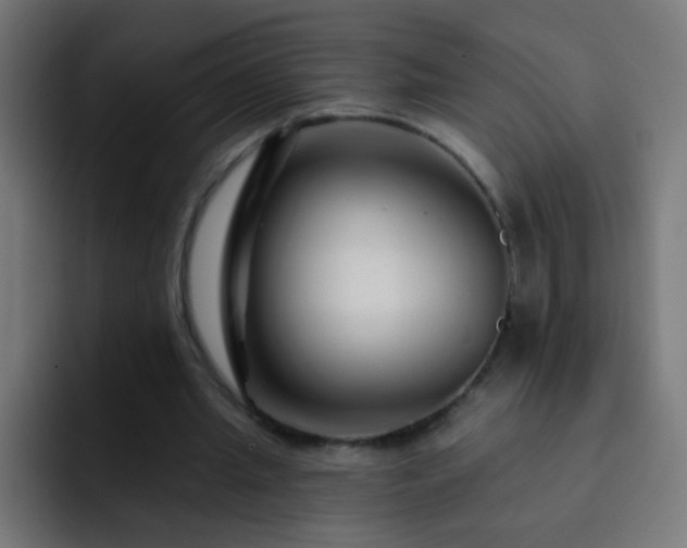 X0000093140437200710031413