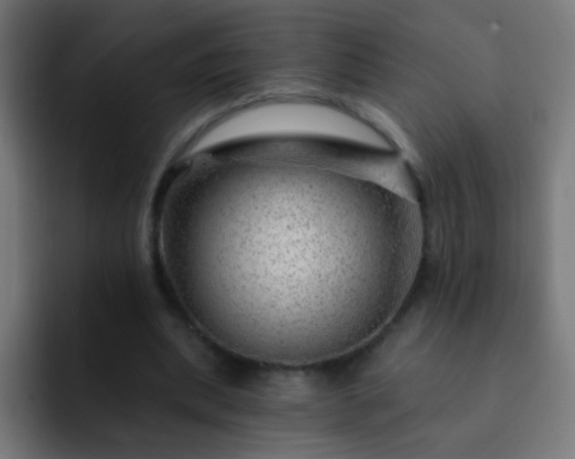 X0000093140439200710031413