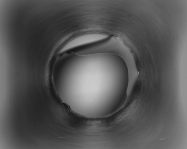 X0000093140440200710031413