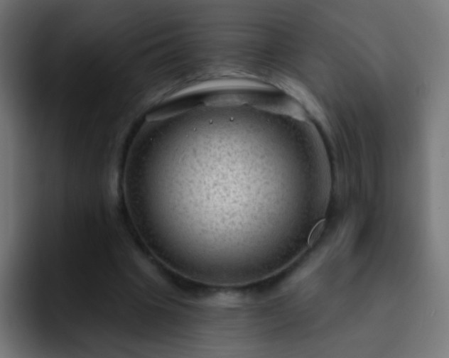 X0000093140441200710031413