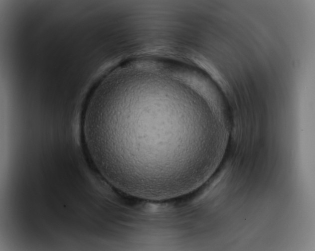 X0000093140442200710031413