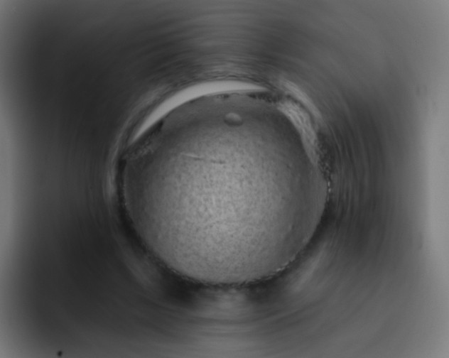 X0000093140443200710031413