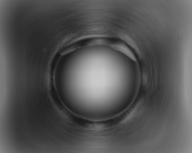 X0000093140444200710031413
