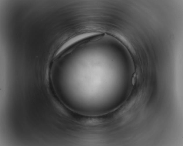 X0000093140445200710031413