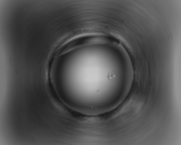 X0000093140446200710031413