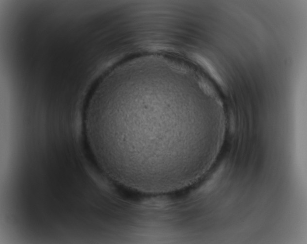 X0000093140447200710031413